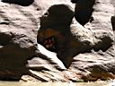 062_zion.jpg